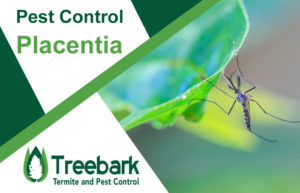 Pest-Control-Placentia