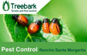 Pest-Control-Rancho-Santa-Margarita
