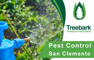 Pest-Control-San-Clemente