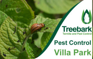 Pest-Control-Villa-Park