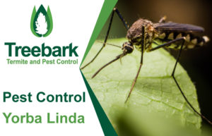 Pest-Control-Yorba-Linda