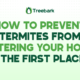 How to Prevent Termites from Entering Your Home