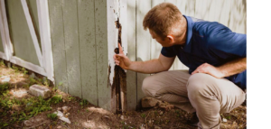 Home termite prevention