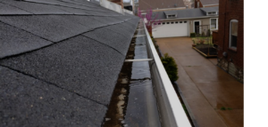 Prevent pests by cleaning the gutter