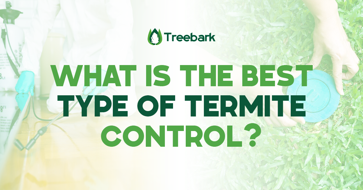 What is the Best Type of Termite Control?