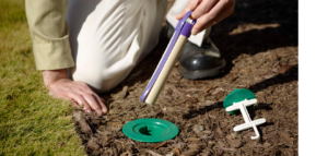 termite bait treatment