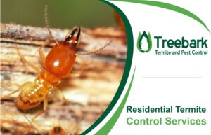 A Photo Saying Treebark Termite Control Services