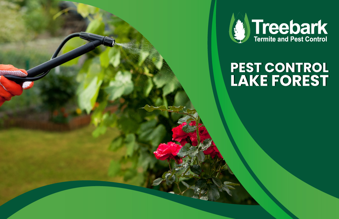 Pest-Control-lake-forest | Treebark Termite and Pest Control Services