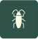 cockroach icon