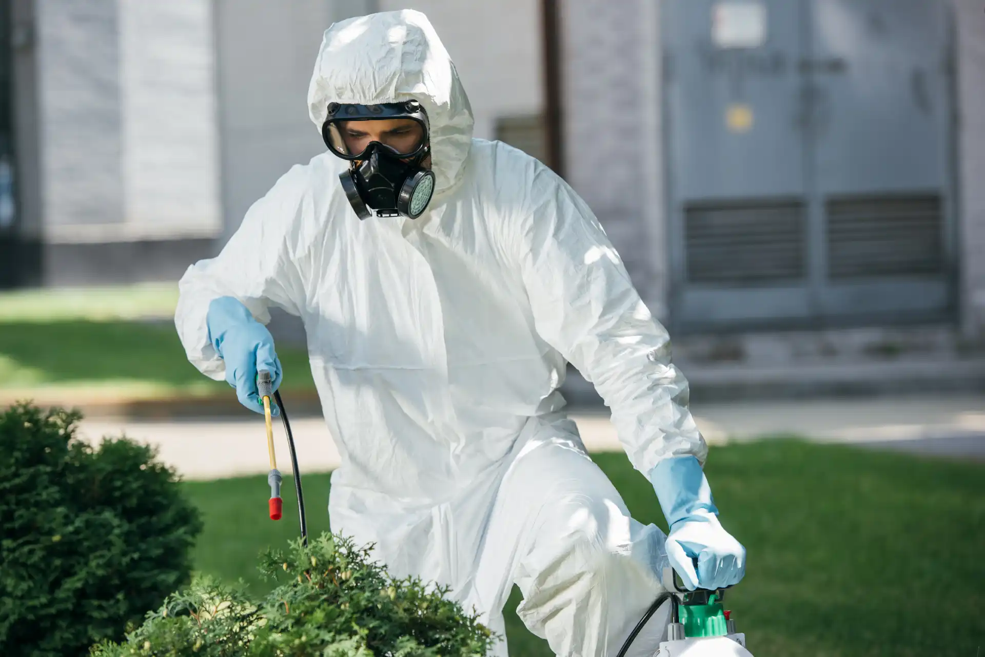male-pest-control-worker-in-uniform-spraying-chemi-2026-03-12-23-49-28-utc