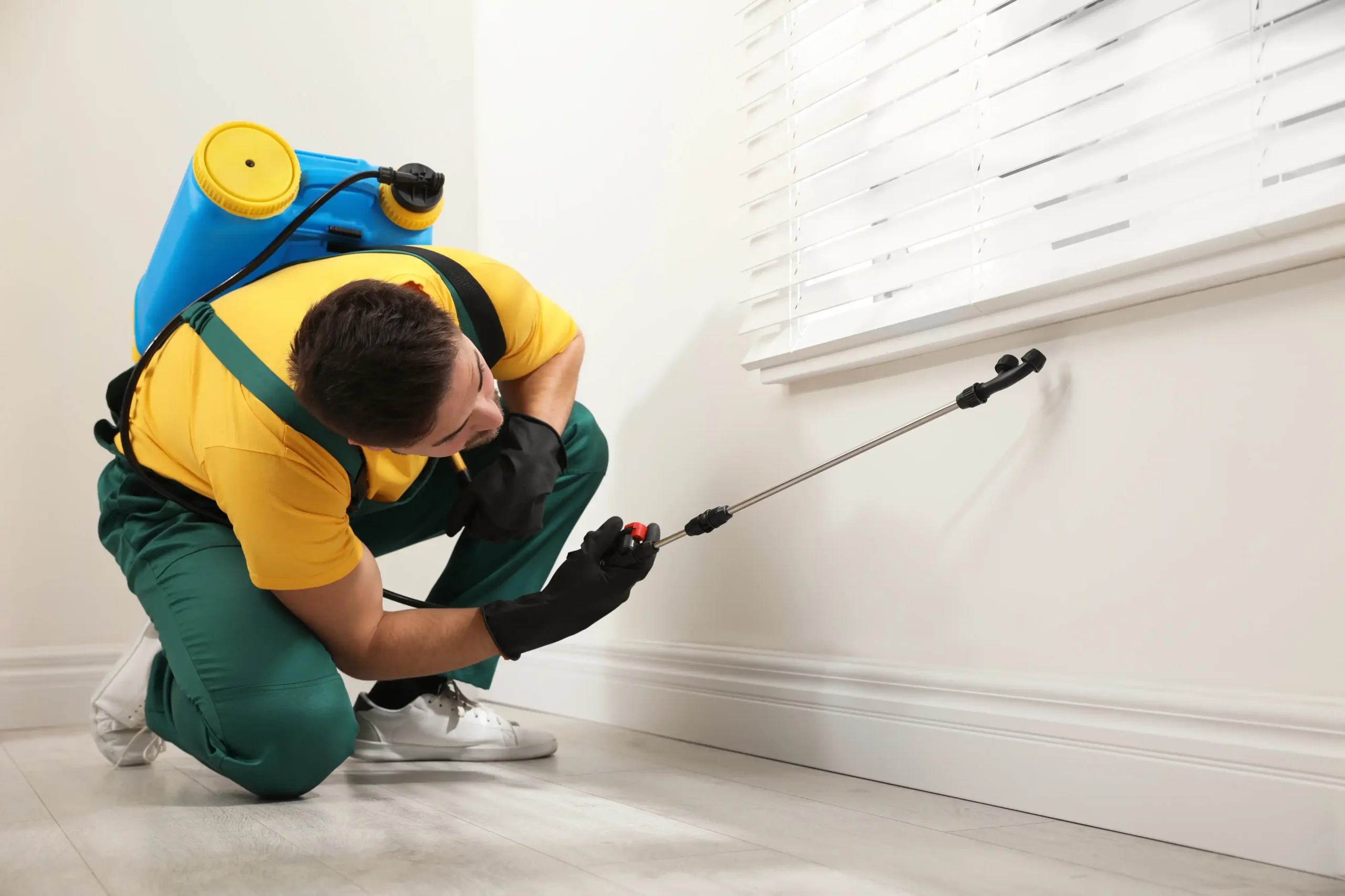 pest control worker spraying insecticide on window 2026 01 05 19 58 33 utc scaled
