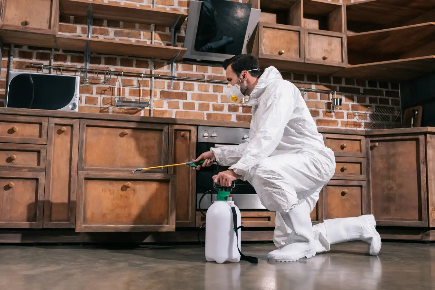 pest control worker spraying pesticides in cabinet 2026 03 12 23 51 39 utc