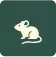 rodent icon