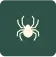 spider icon