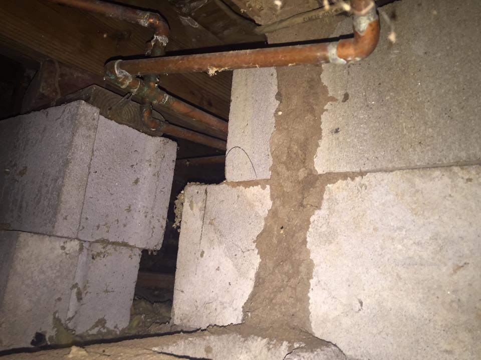 Termites control in beverly hills