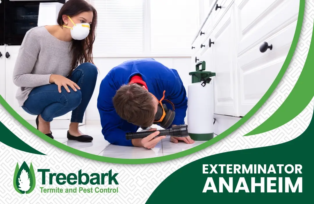 Exterminator anaheim