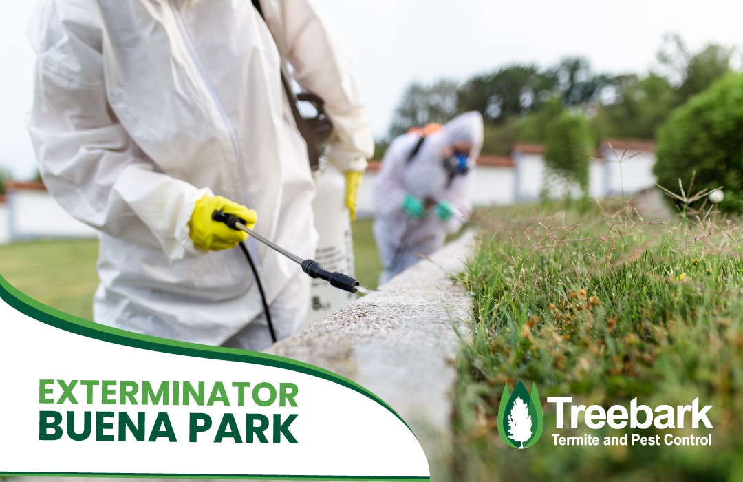 Exterminator buena park