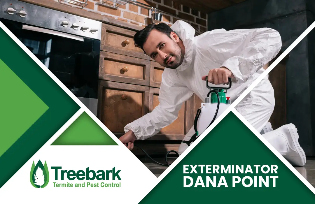 Exterminator dana point