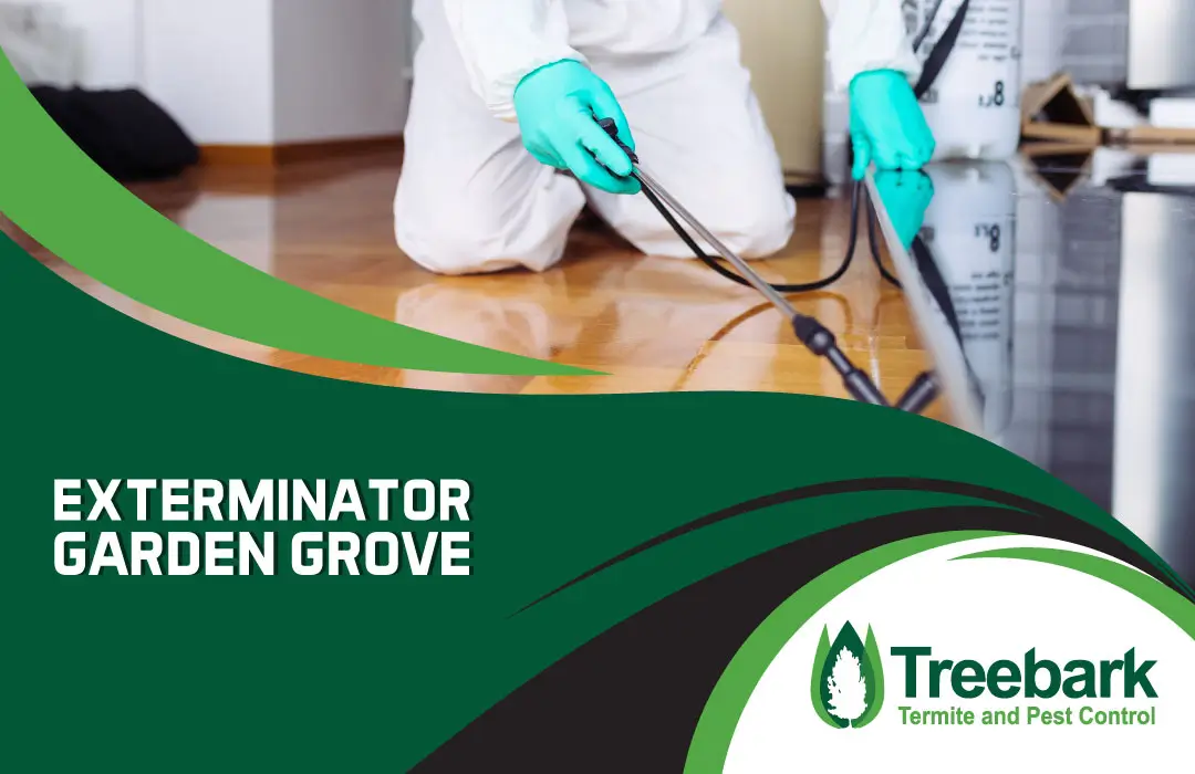 Exterminator garden grove