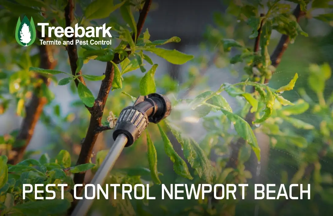 Pest Control newport beach