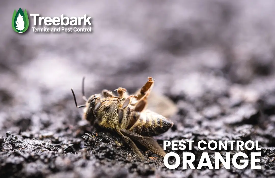 Pest Control orange