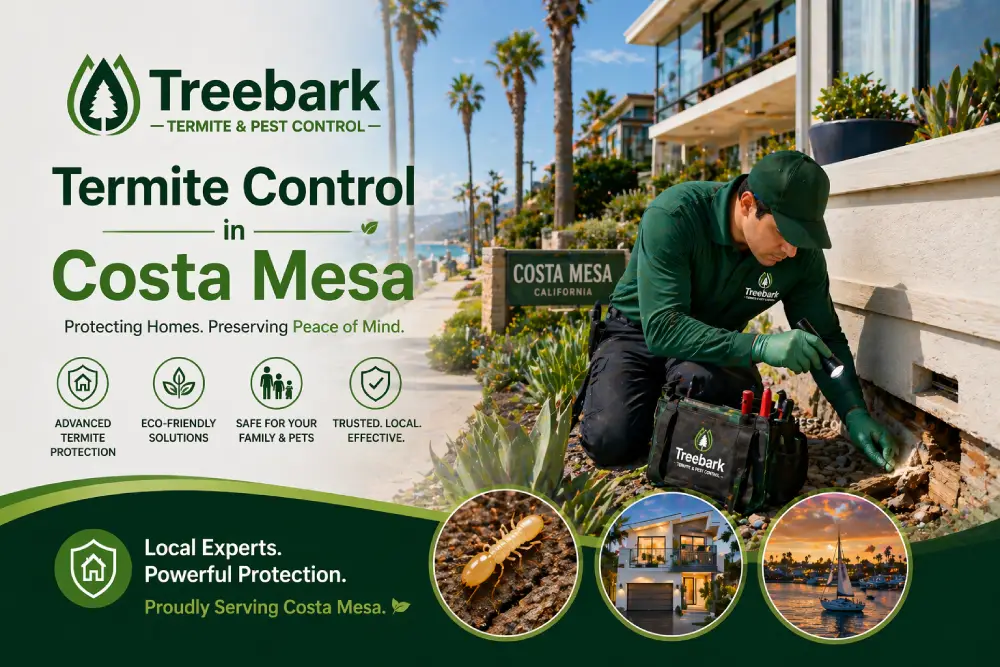 Treebark Termite Control Costa Mesa