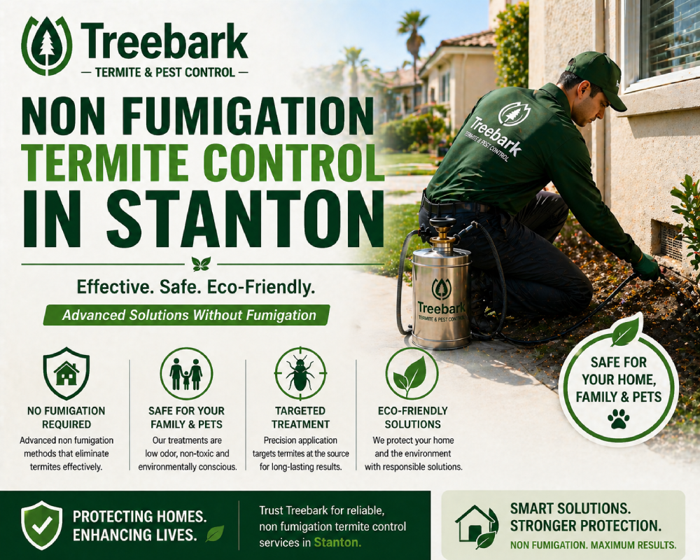 non fumigation termite control in stanton