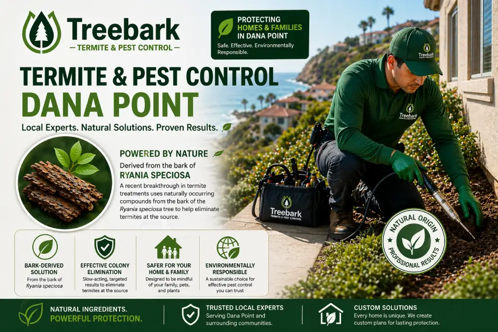 pest and termite control in dana point