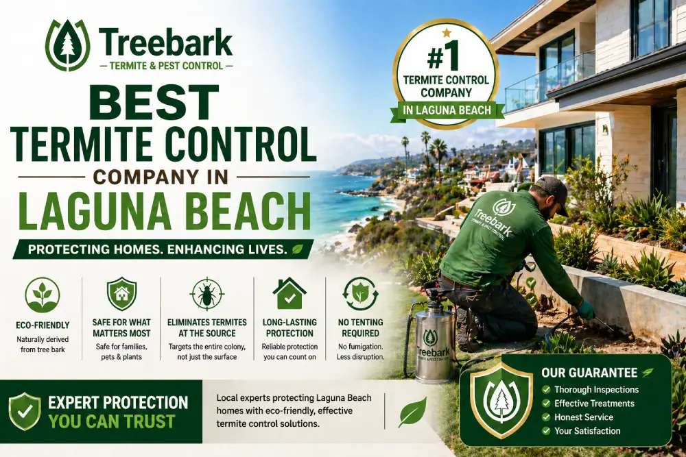 pest control laguna beach