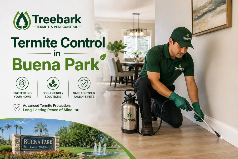 termite control buena park