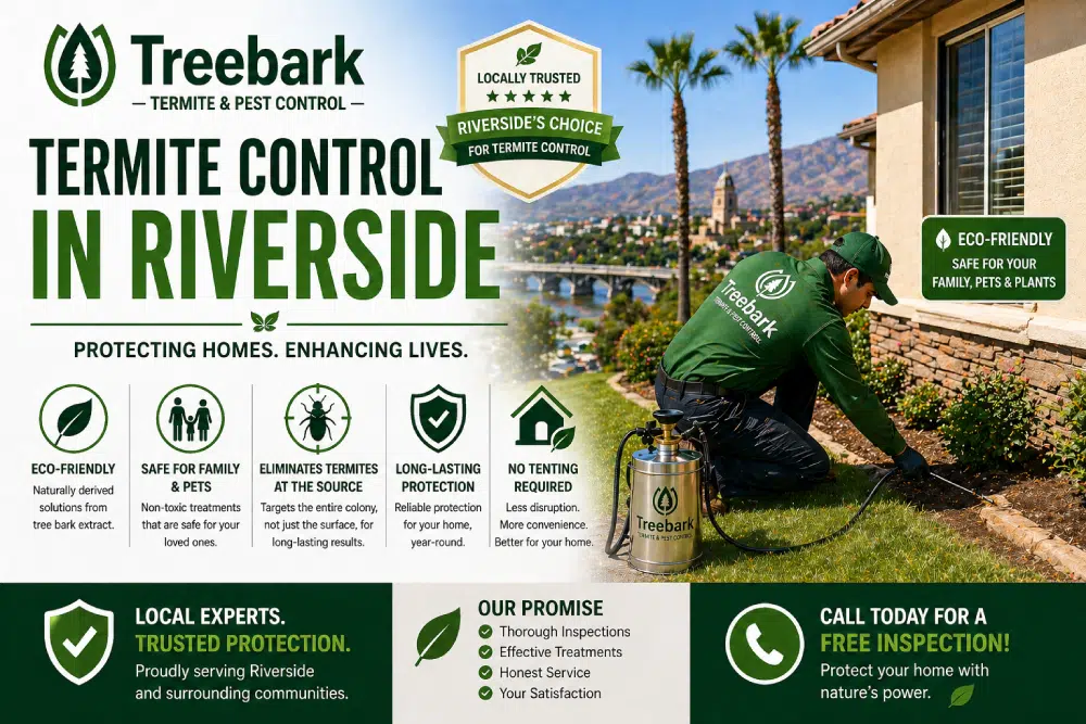 termite control in riverside