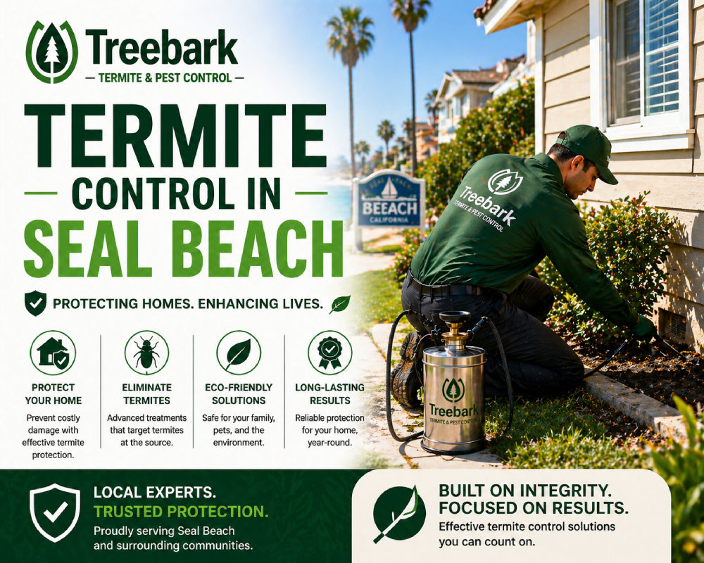 termite control in seal beach