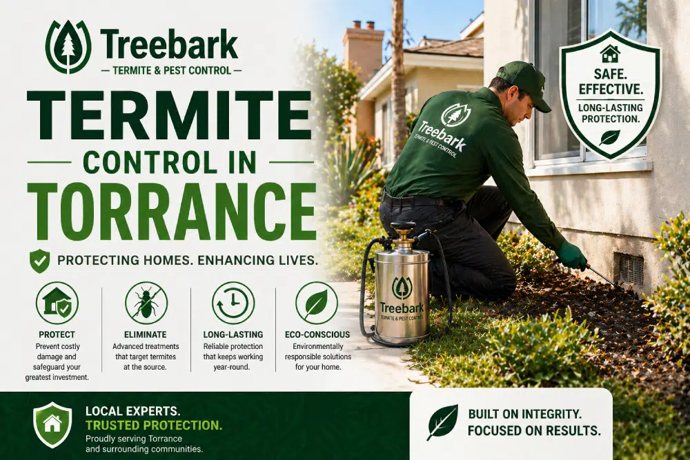termite control in torrance