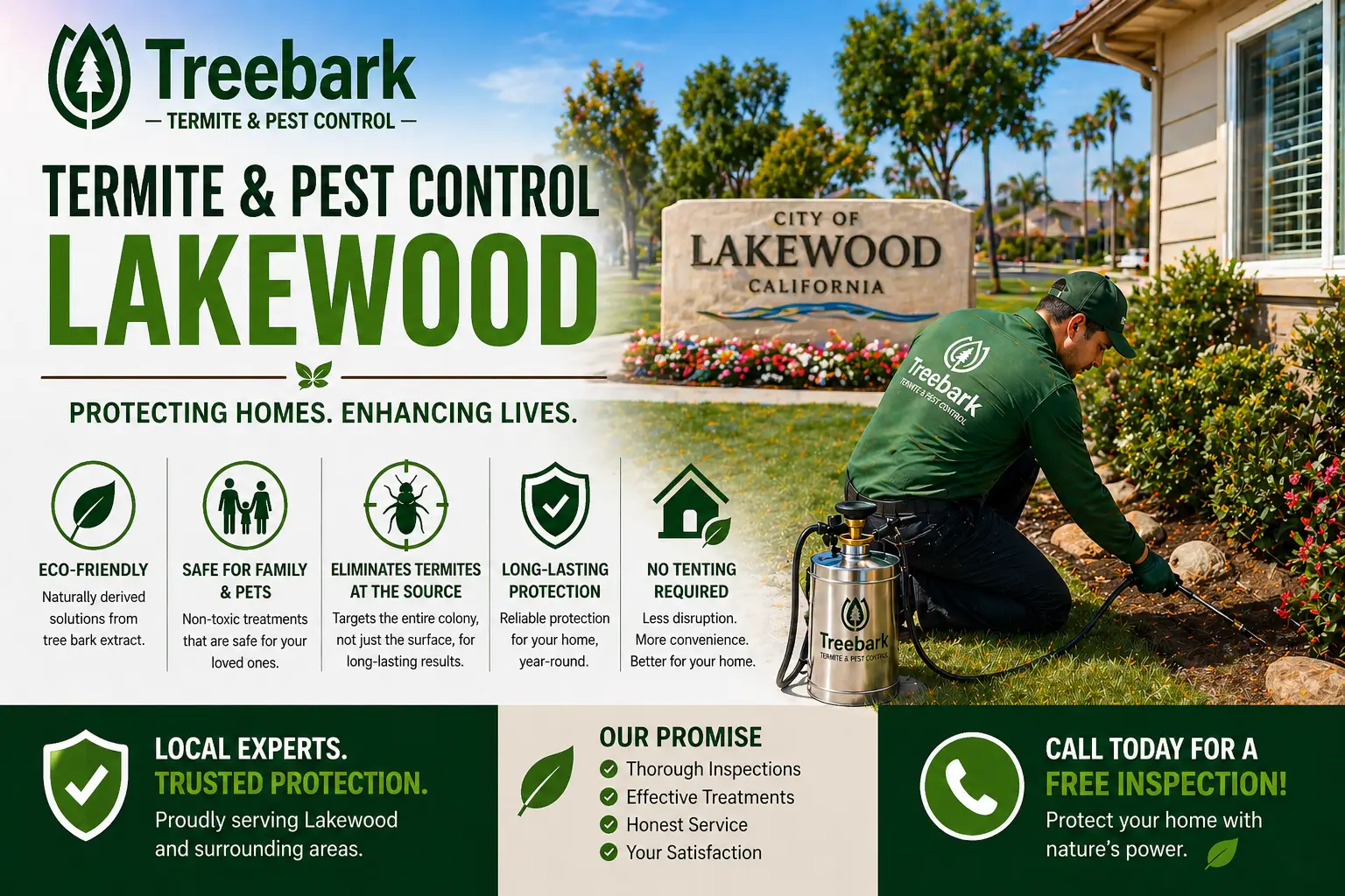 termite control lakewood