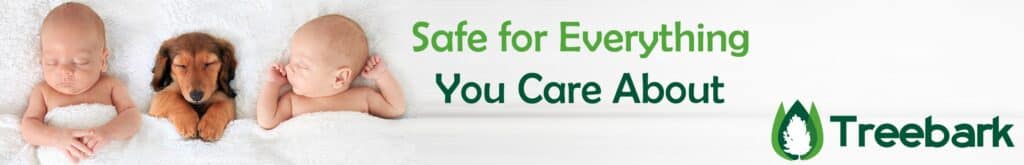 Safe For What You Love