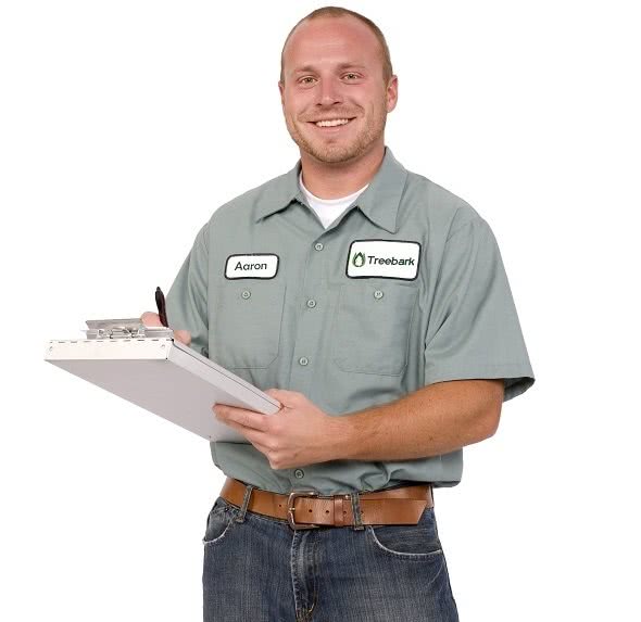 TreeBark Technician resized