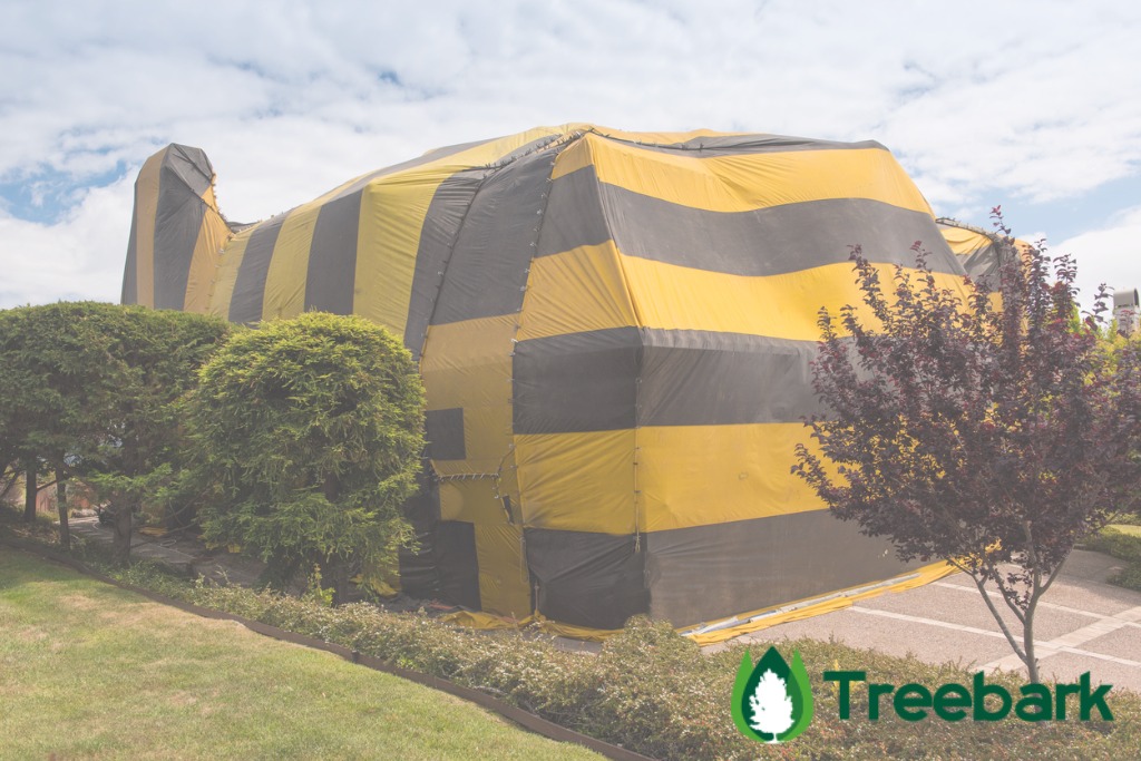 house is covered by tent for fumigation picture id475709450
