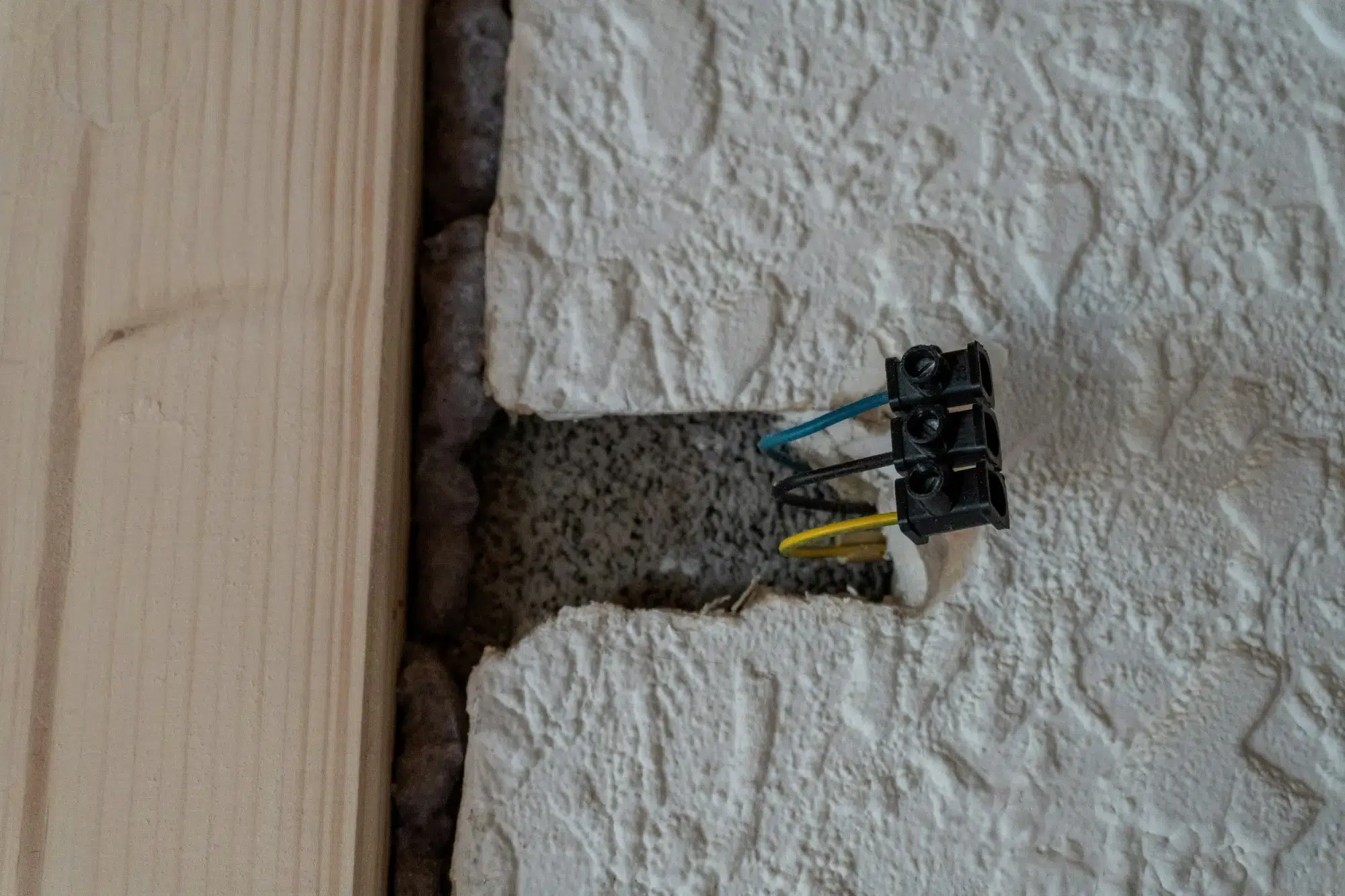 termite infestation