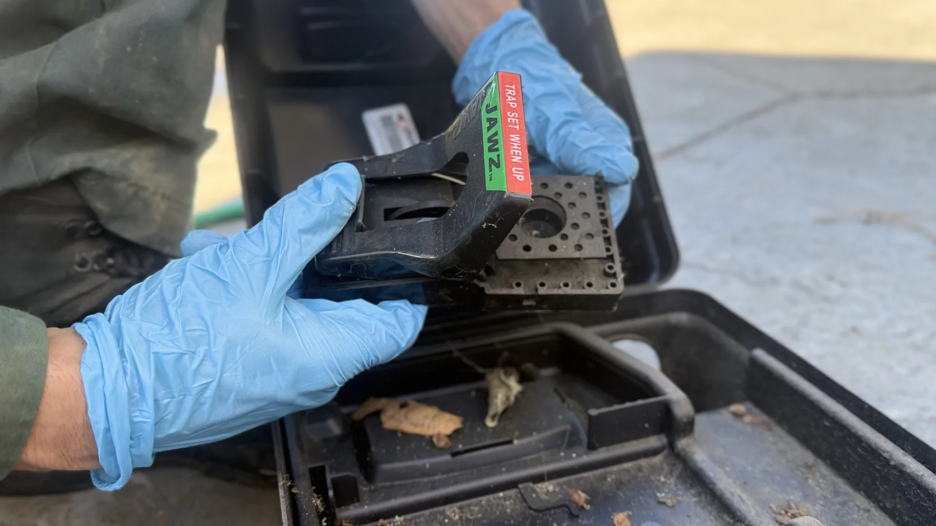 Treebark Kenzie technician checking a pest control trap at a Glendora home