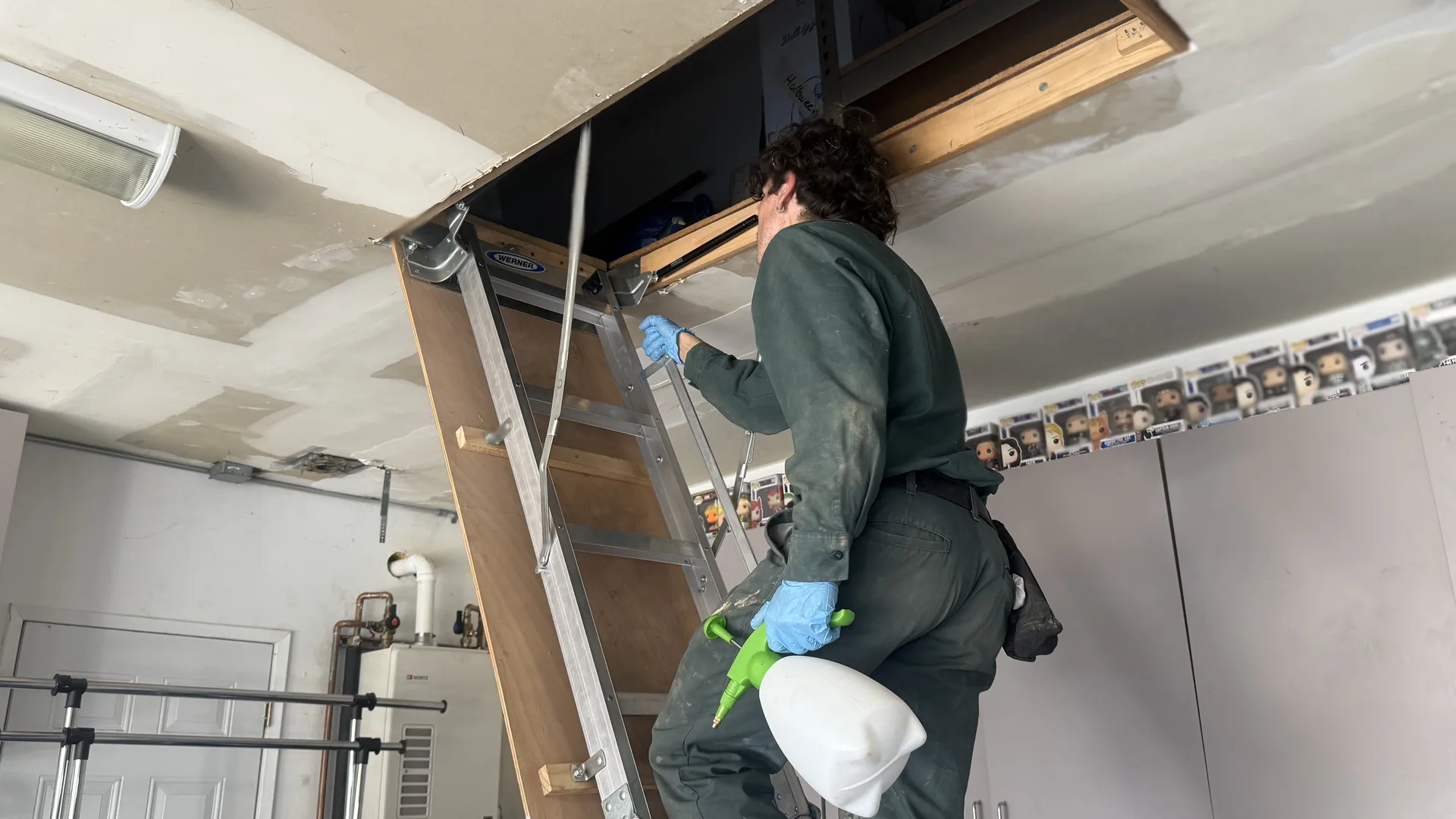 Treebark Kenzie technician servicing a Glendora attic area for pest protection