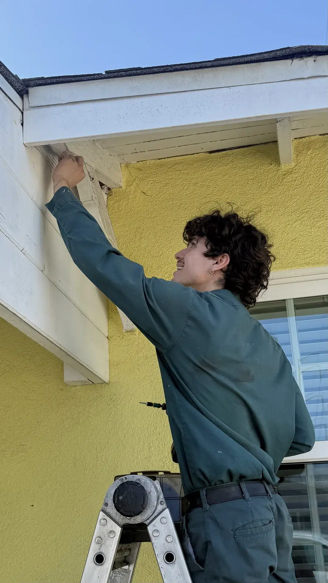 Treebark technician serving San Juan Capistrano homes