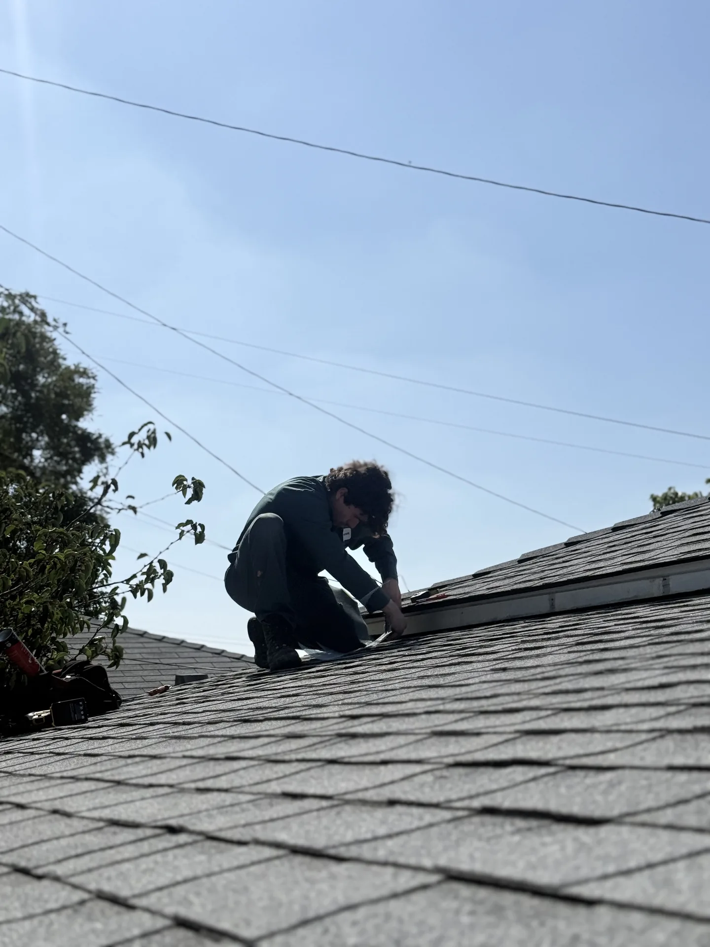 Treebark technician working on roof exclusion in Arcadia CA