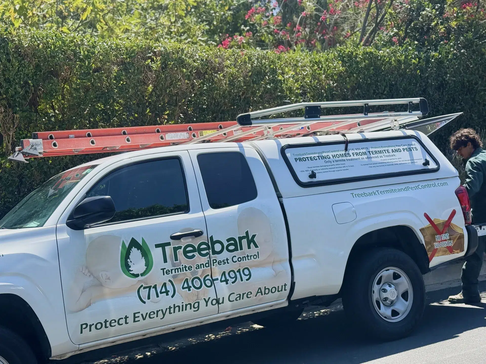 Treebark technician serving Seal Beach home