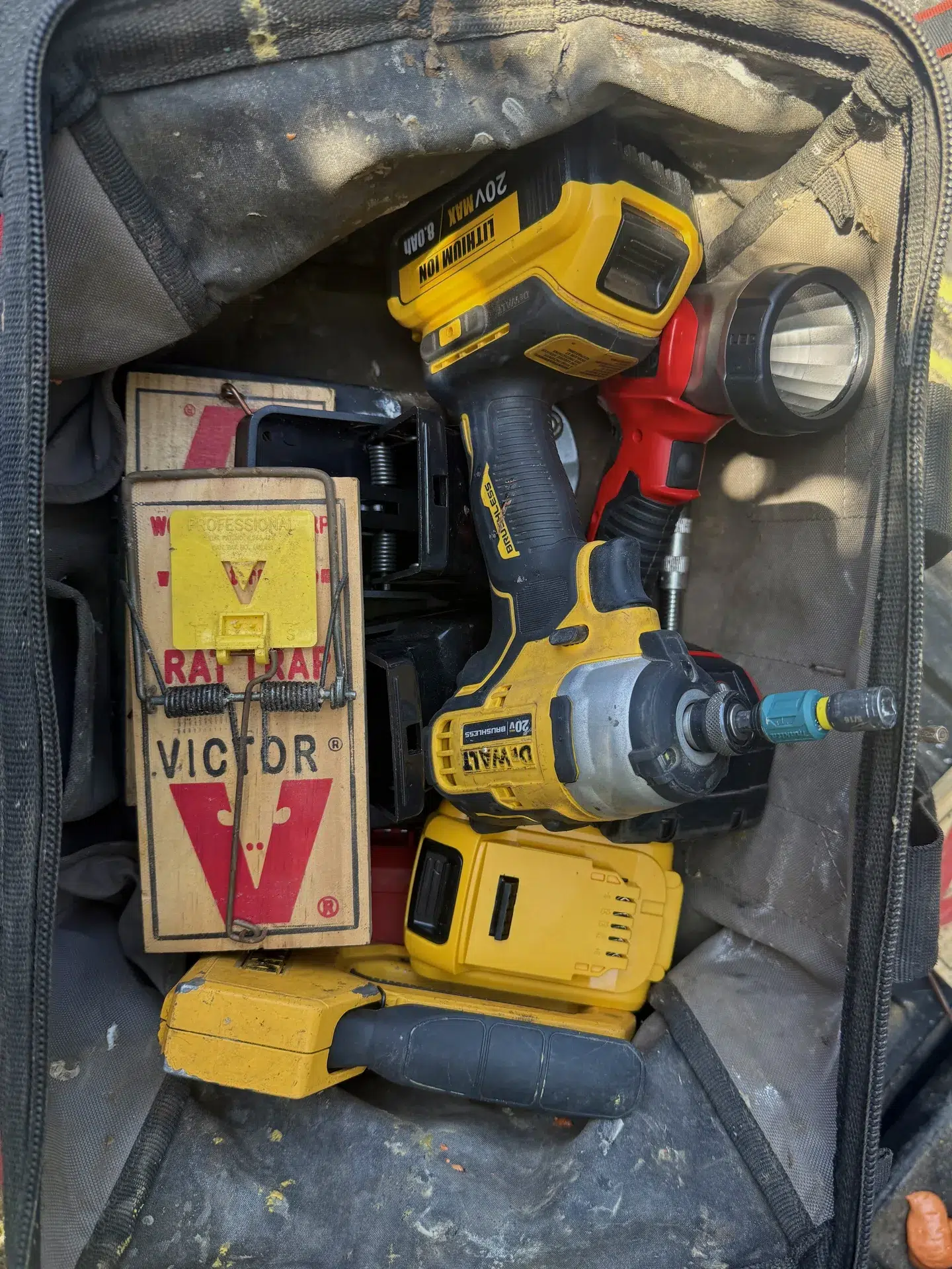 Bellflower 8 Treebark spider control service Bellflower CA