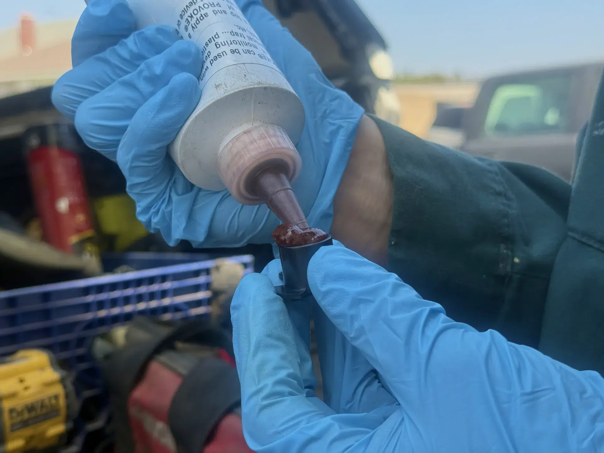 Treebark pest control service in Arcadia CA