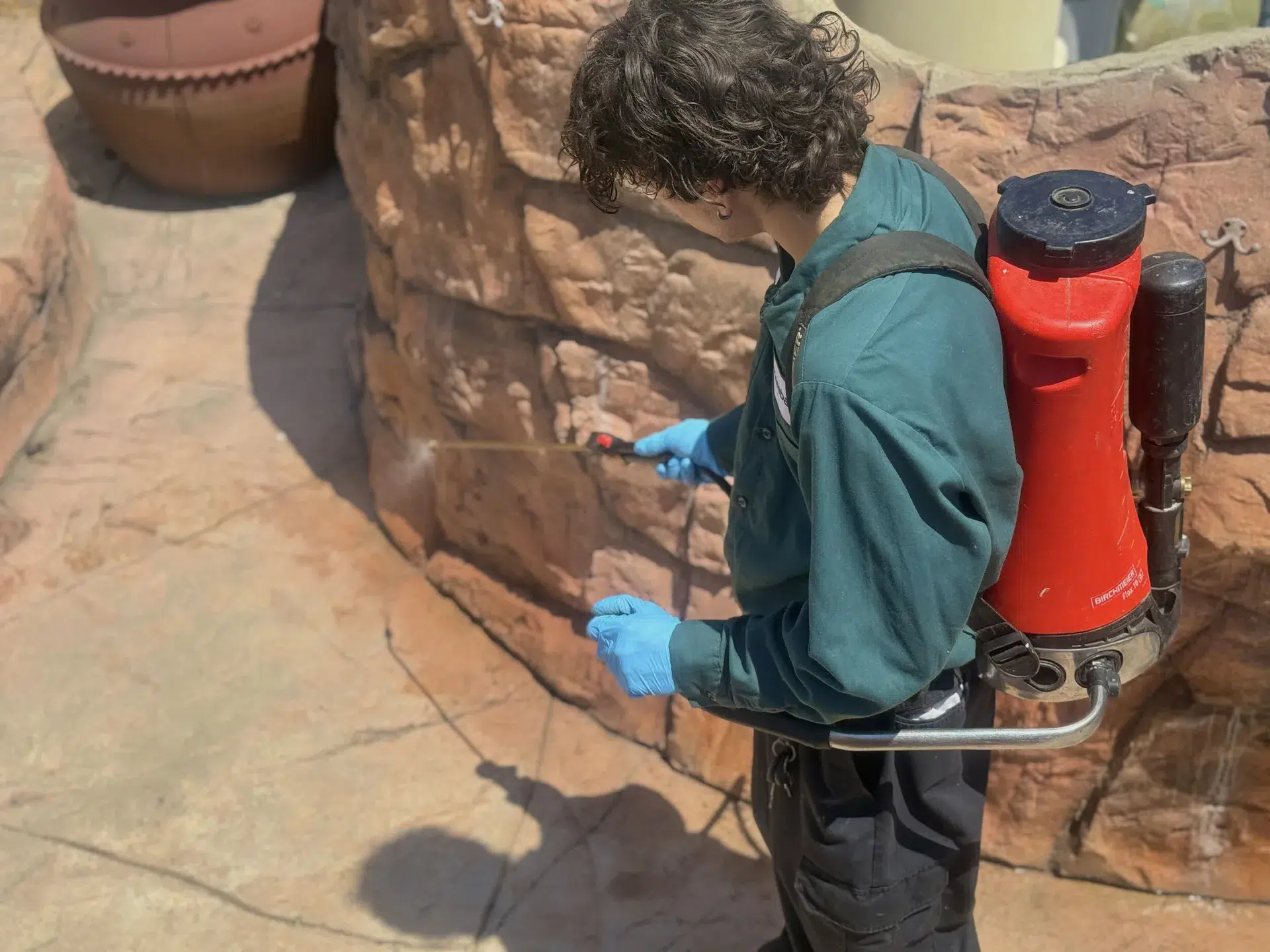 Treebark Kenzie backpack sprayer in Torrance