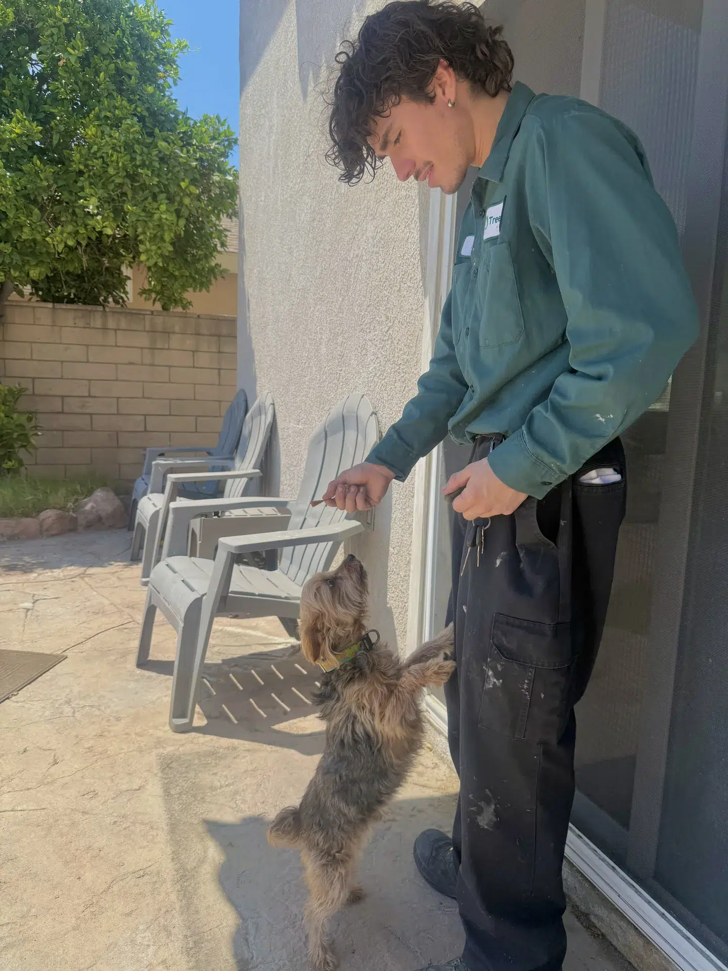Treebark Kenzie pest inspection in Torrance