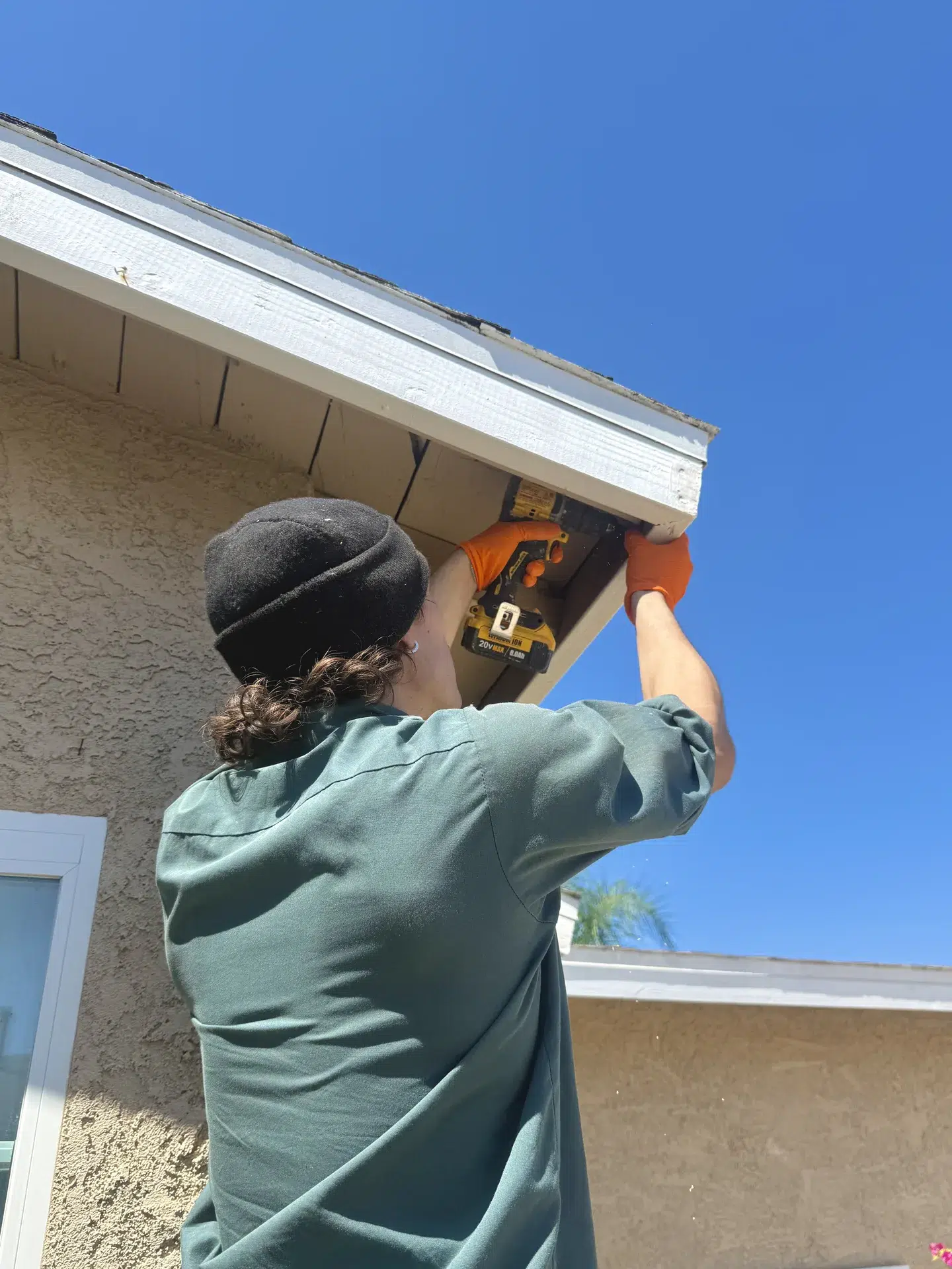 Treebark Redondo Beach termite inspection technician IMG 8669