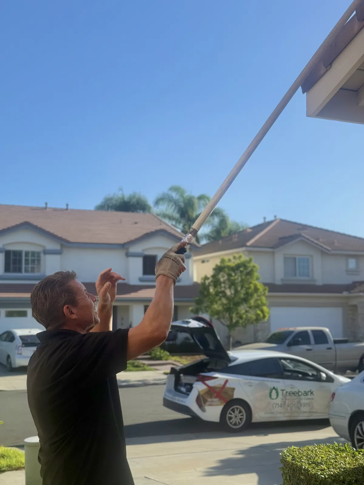 Treebark technician inspecting roof eaves from a ladder during a San Clemente termite inspection