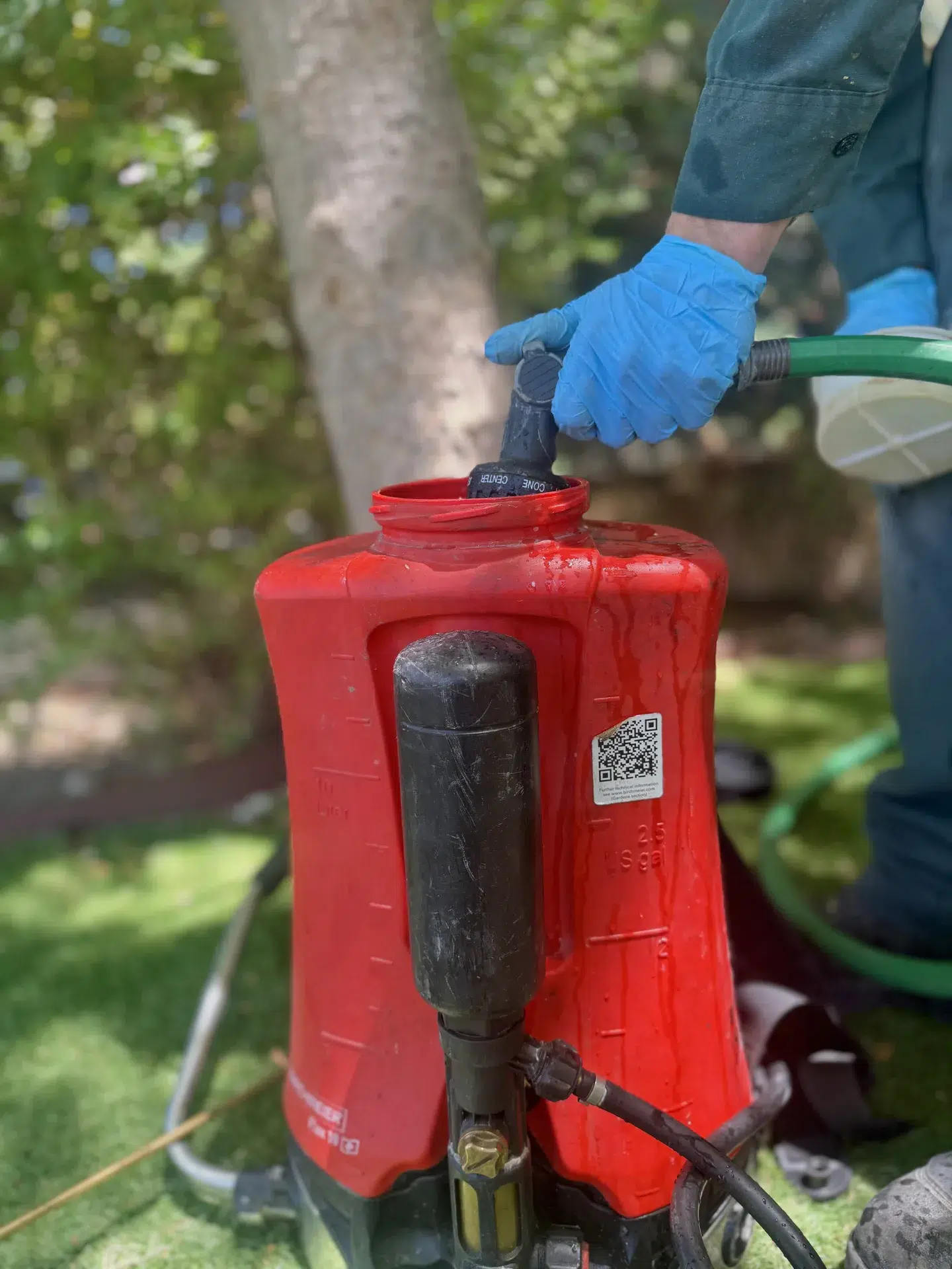 Treebark Brea termite service image 7022